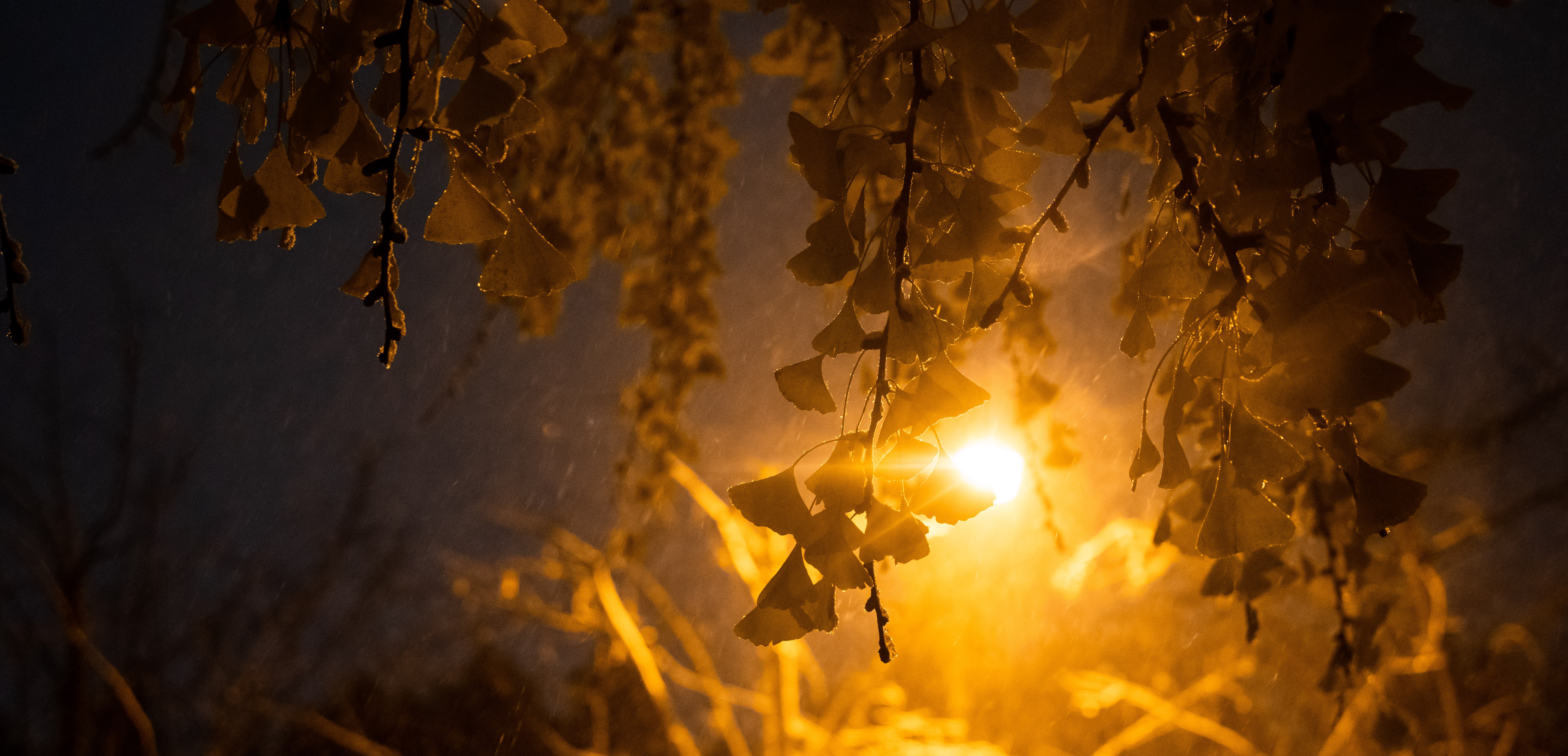 日新书院举办哲学专业师生交流暨哲学学堂班宣讲会
